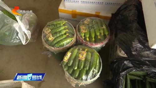 涿州農產品市場貨源穩定供應充足