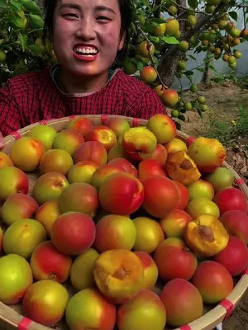 優質農產品的價值與未來發展路徑