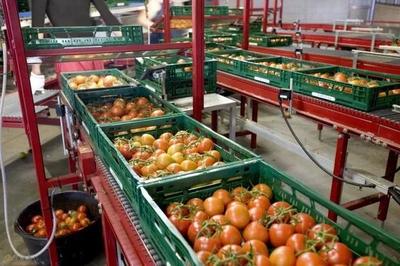 探索建設(shè)現(xiàn)代化農(nóng)產(chǎn)品市場(chǎng)物流體系，打通農(nóng)產(chǎn)品上行之路