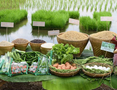 我國(guó)農(nóng)產(chǎn)品質(zhì)量安全持續(xù)向好 合格率連續(xù)六年穩(wěn)定在97%以上