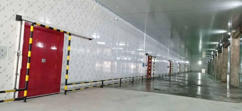 專業保鮮，智造未來——佛山食品保鮮冷庫工程廠家，為食品廠與農產品提供全方位儲存方案