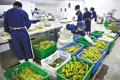 新京報 好新聞，無止境——探索中國農產品背后的故事