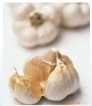 順旺農產品 優質大蒜，產地直供，保障餐桌健康