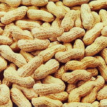 庫(kù)存農(nóng)產(chǎn)品 從源頭到市場(chǎng)，一站式采購(gòu)指南