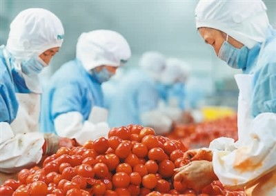 穩(wěn)居第一，小小罐頭闖世界 中國(guó)農(nóng)產(chǎn)品的全球化之路