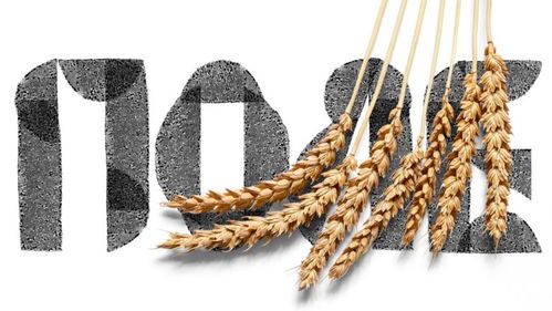 包裝設(shè)計(jì)精選 zhatva農(nóng)產(chǎn)品包裝設(shè)計(jì)如何賦能品牌與市場(chǎng)